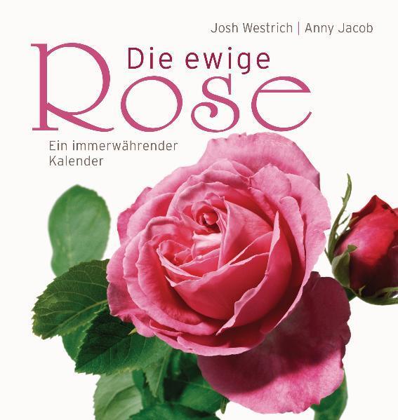 Cover: 9783809428466 | Die ewige Rose | Ein immer währender Kalender | Anny Jacob | Buch