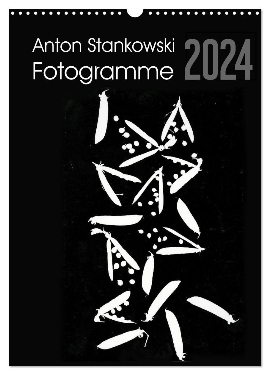 Cover: 9783675429437 | Anton Stankowski Fotogramme (Wandkalender 2024 DIN A3 hoch),...