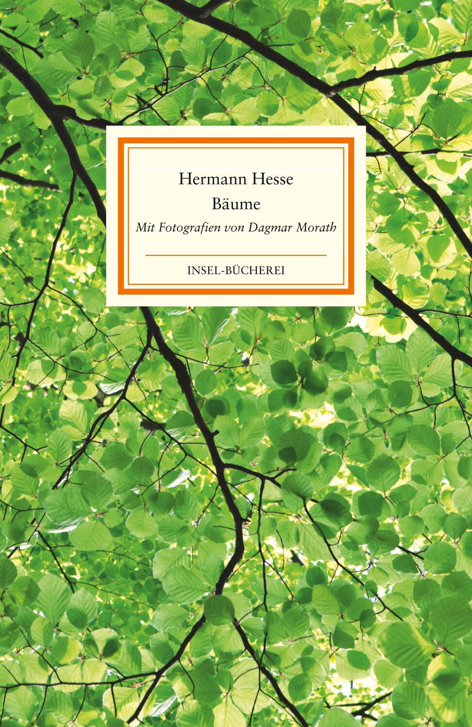 Cover: 9783458643005 | Bäume | Hermann Hesse | Buch | Deutsch | 2022 | Insel Verlag