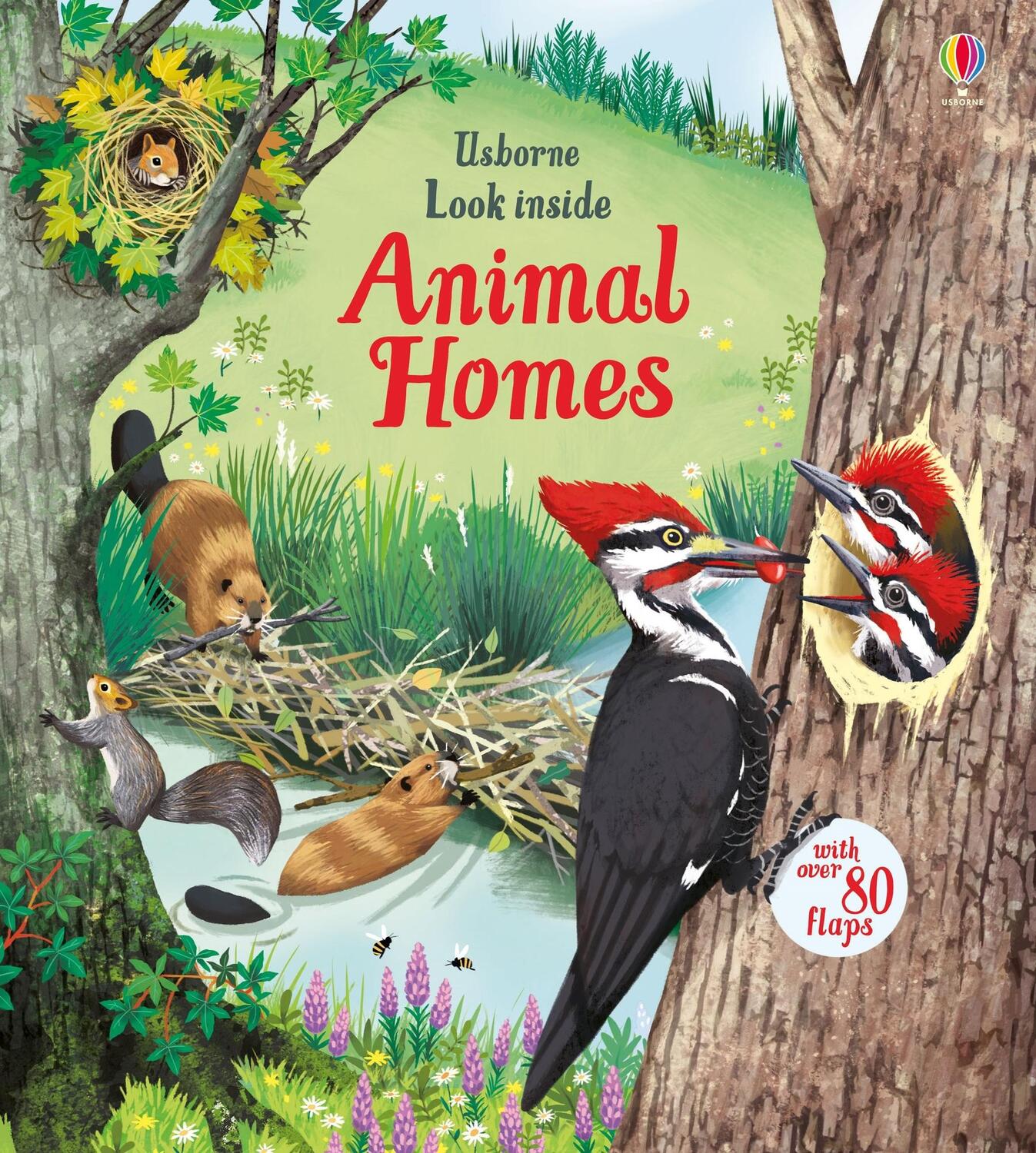 Cover: 9781474942928 | Look Inside Animal Homes | Emily Bone | Buch | Papp-Bilderbuch | 2018