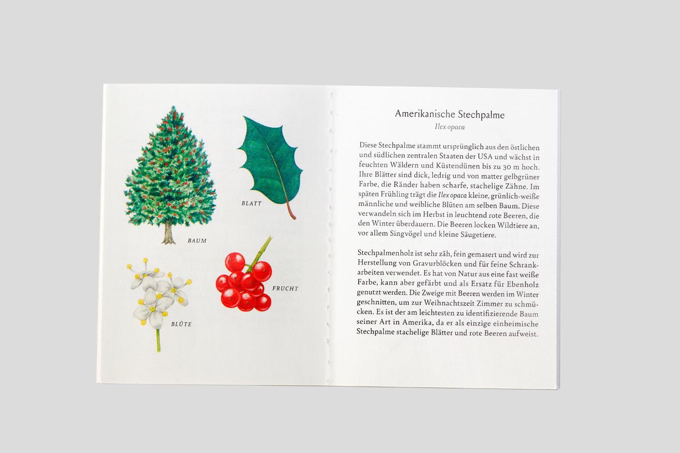Bild: 9783962441876 | Baum-Familien | Ein botanisches Quartettspiel | Tony Kirkham | Buch