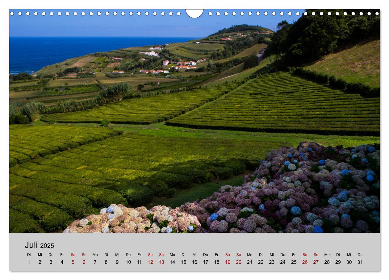 Bild: 9783435413737 | Azoren - São Miguel (Wandkalender 2025 DIN A3 quer), CALVENDO...