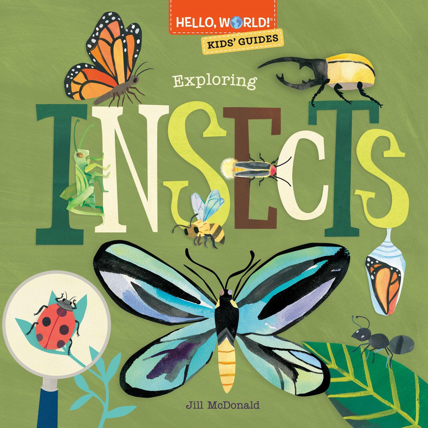 Cover: 9780593568224 | Hello, World! Kids' Guides: Exploring Insects | Jill McDonald | Buch