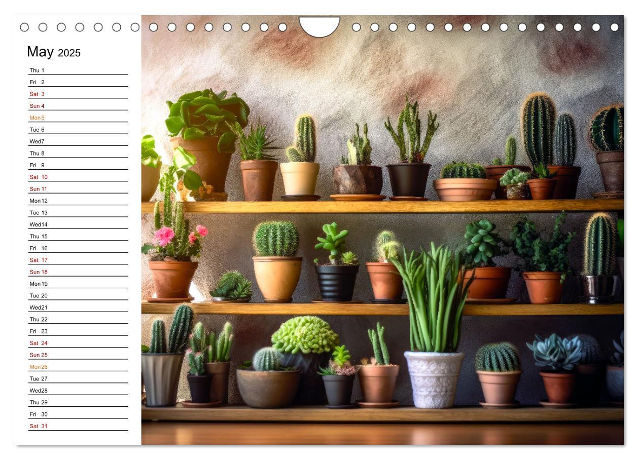 Bild: 9781325833092 | Cacti Wonderland (Wall Calendar 2025 DIN A4 landscape), CALVENDO 12...