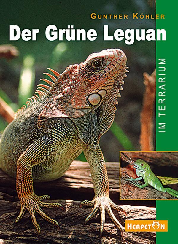 Cover: 9783980621465 | Der Grüne Leguan im Terrarium | Gunther Köhler | Taschenbuch | Deutsch