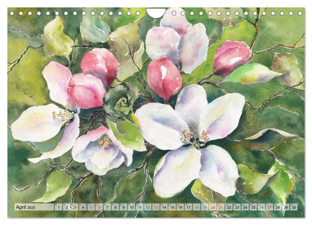 Bild: 9783435624676 | Jahreszeiten Aquarelle (Wandkalender 2025 DIN A4 quer), CALVENDO...