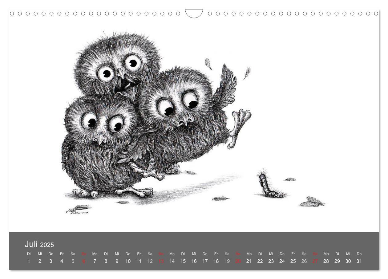 Bild: 9783435824830 | owls &amp; friends 2025 (Wandkalender 2025 DIN A3 quer), CALVENDO...