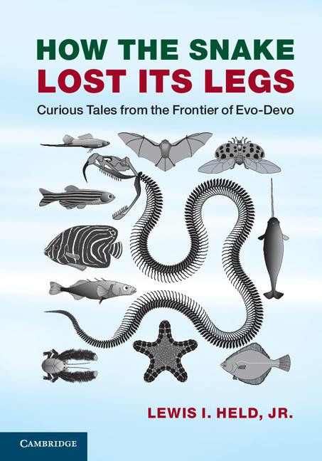 Cover: 9781107621398 | How the Snake Lost its Legs | Jr Lewis I. Held | Taschenbuch | 2015