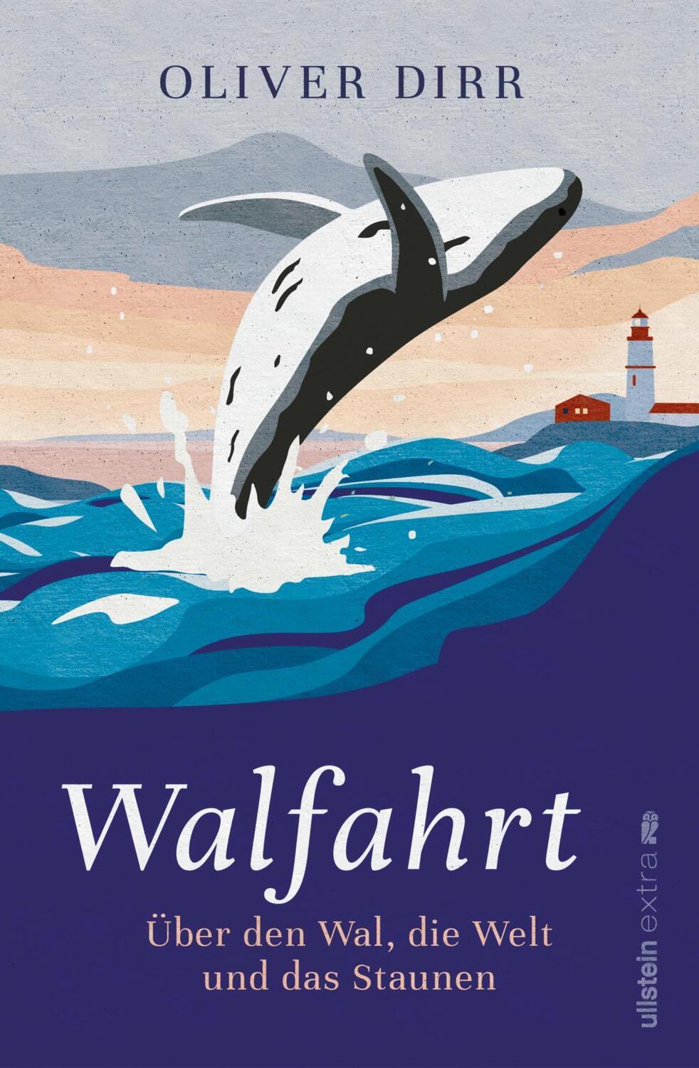 Cover: 9783864931857 | Walfahrt | Oliver Dirr | Taschenbuch | Deutsch | 2022
