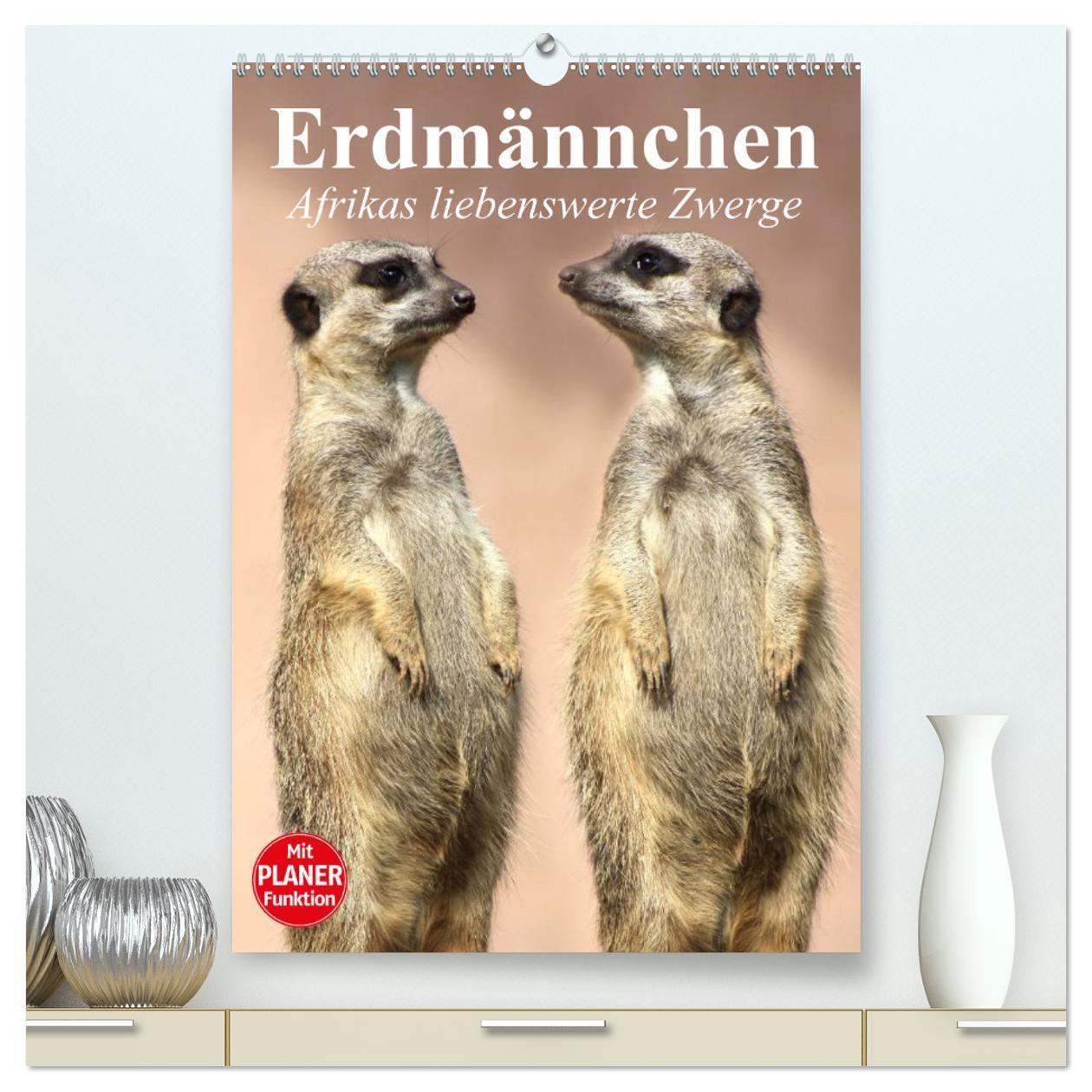 Cover: 9783675579996 | Erdmännchen - Afrikas liebenswerte Zwerge (hochwertiger Premium...