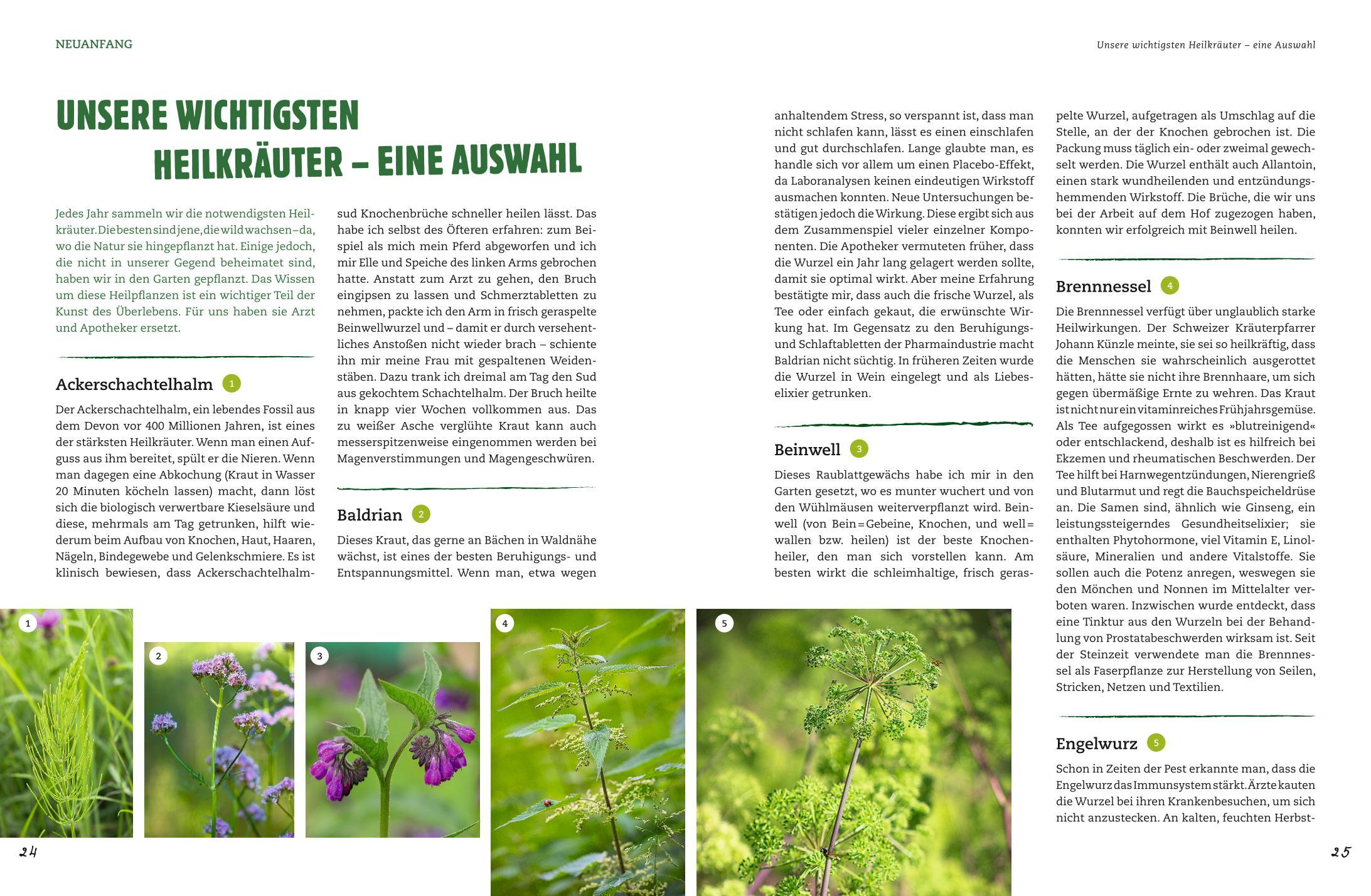 Bild: 9783833858949 | Der Selbstversorger: Mein Gartenwissen | Wolf-Dieter Storl | Buch