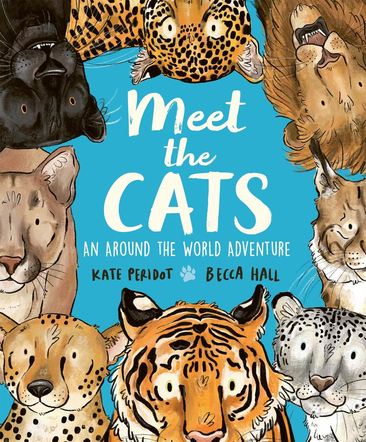 Cover: 9781804535462 | Meet the Cats | Kate Peridot | Buch | Englisch | 2024