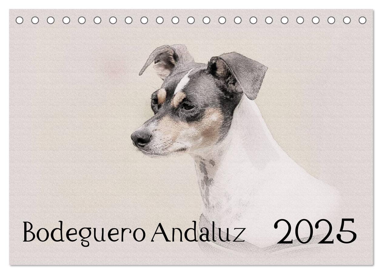 Cover: 9783435699872 | Bodeguero Andaluz 2025 (Tischkalender 2025 DIN A5 quer), CALVENDO...