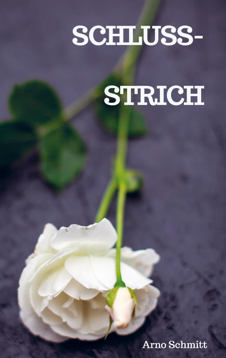 Cover: 9789403723457 | Schlussstrich | Arno Schmitt | Taschenbuch | Paperback | 228 S. | 2024