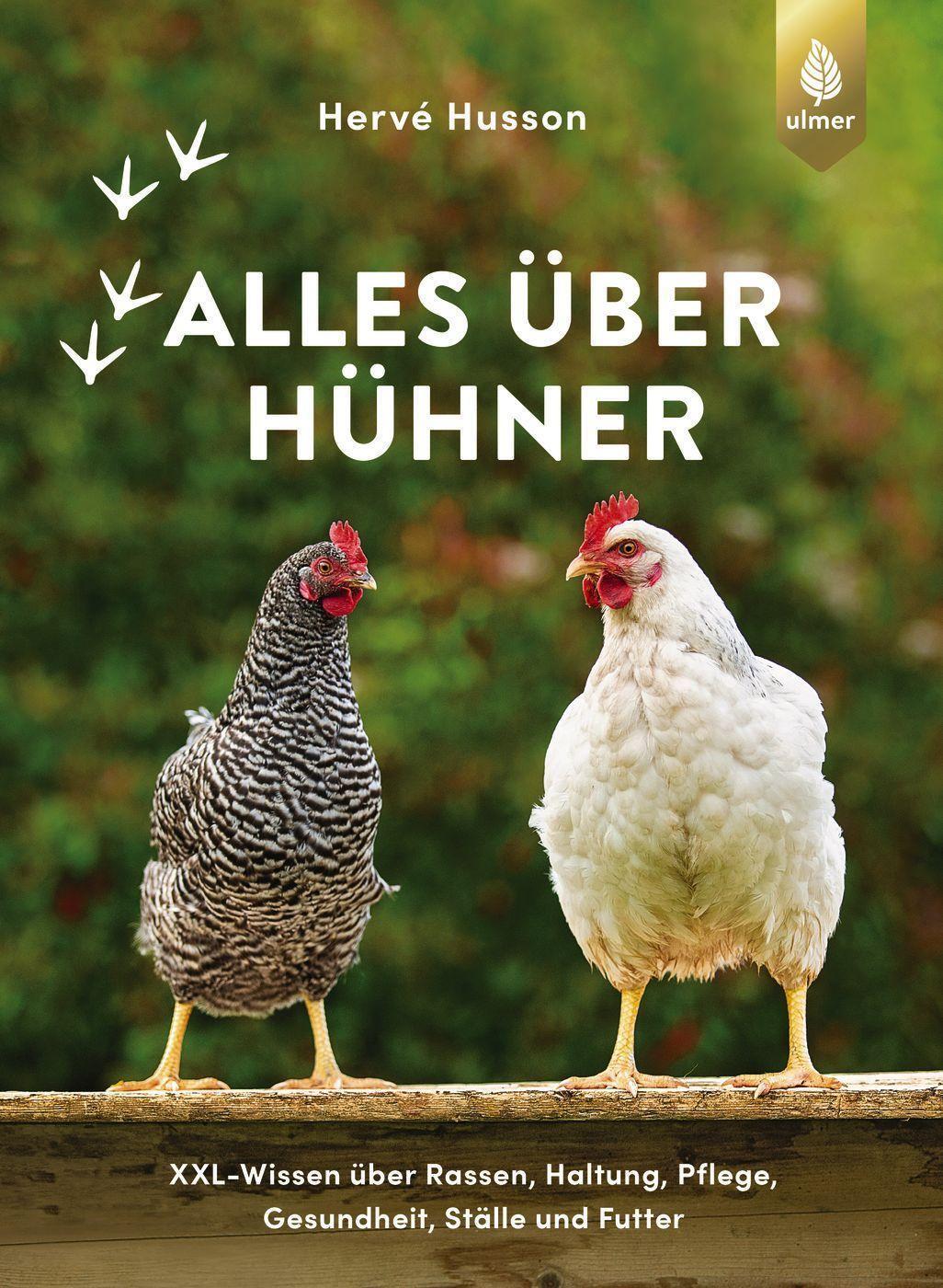 Cover: 9783818615192 | Alles über Hühner | Hervé Husson | Buch | Deutsch | 2022