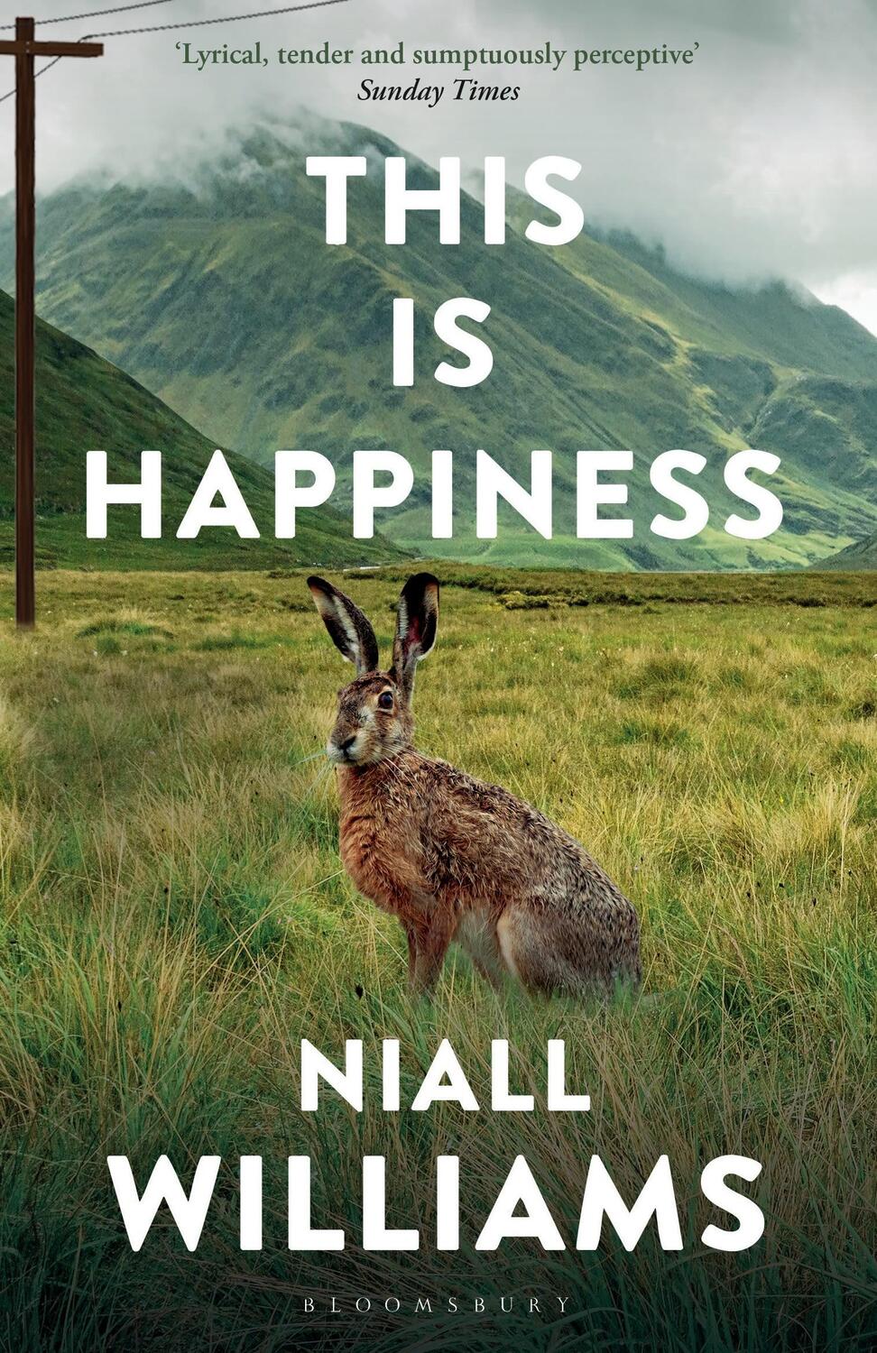 Cover: 9781526609359 | This Is Happiness | Niall Williams | Taschenbuch | Paperback | 400 S.