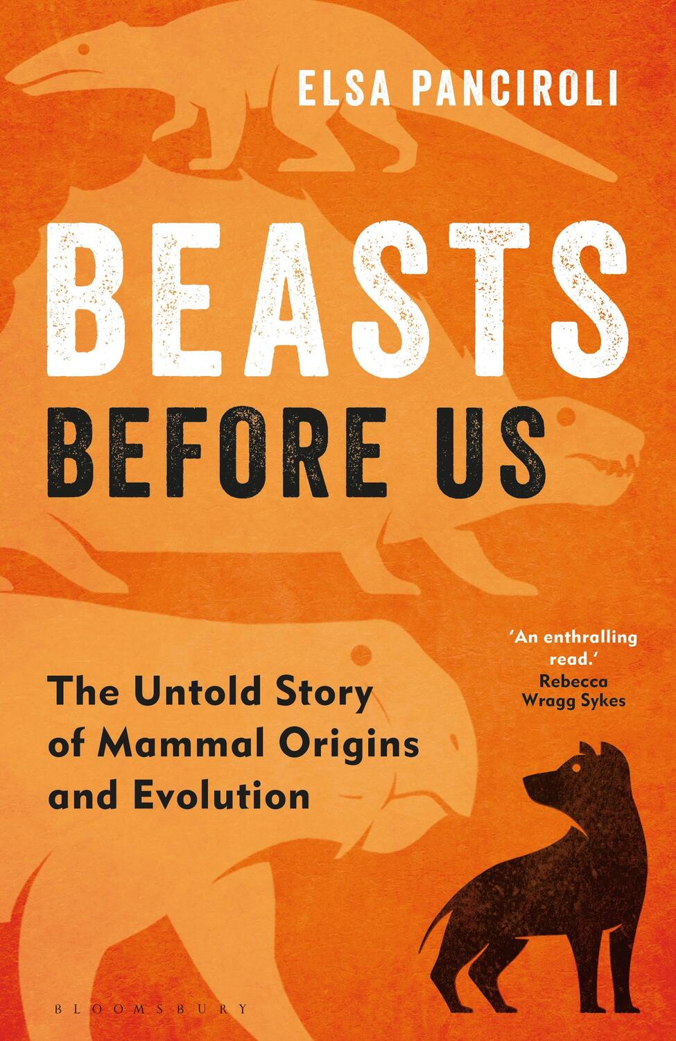 Cover: 9781472983824 | Beasts Before Us | The Untold Story of Mammal Origins and Evolution