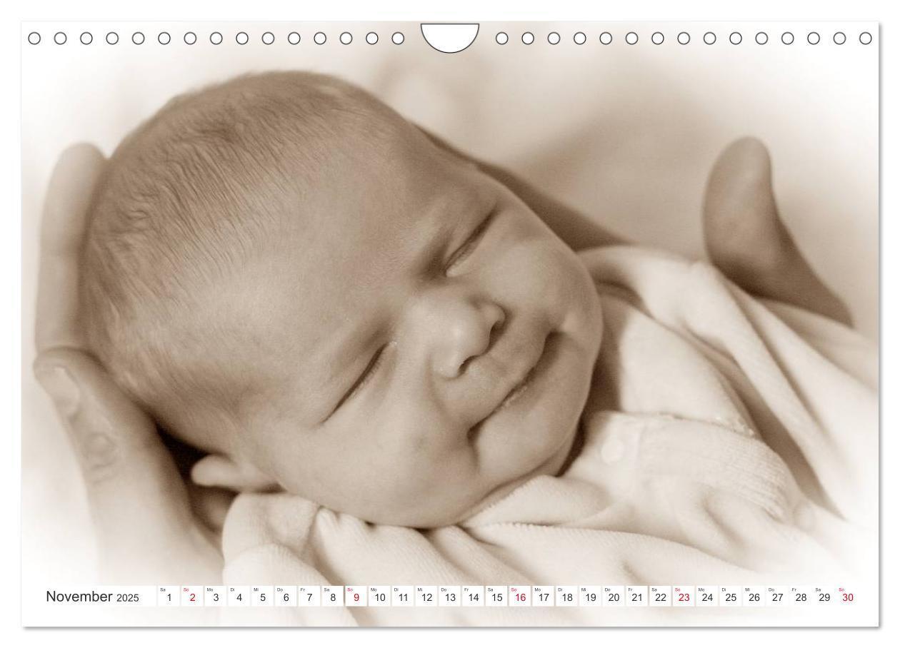 Bild: 9783435707362 | Babys - Willkommen im Leben (Wandkalender 2025 DIN A4 quer),...