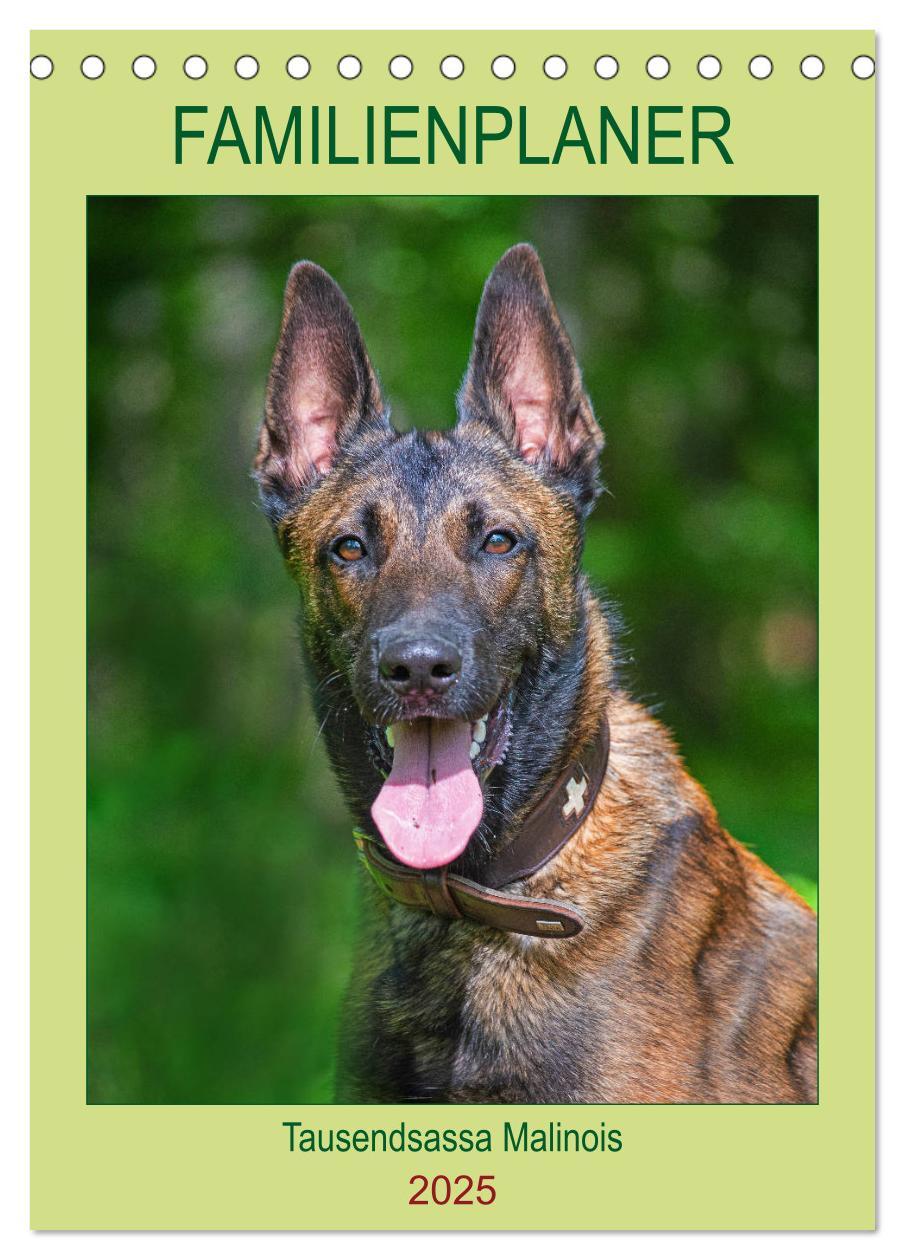 Cover: 9783435944293 | Familienplaner Tausendsassa Malinois (Tischkalender 2025 DIN A5...