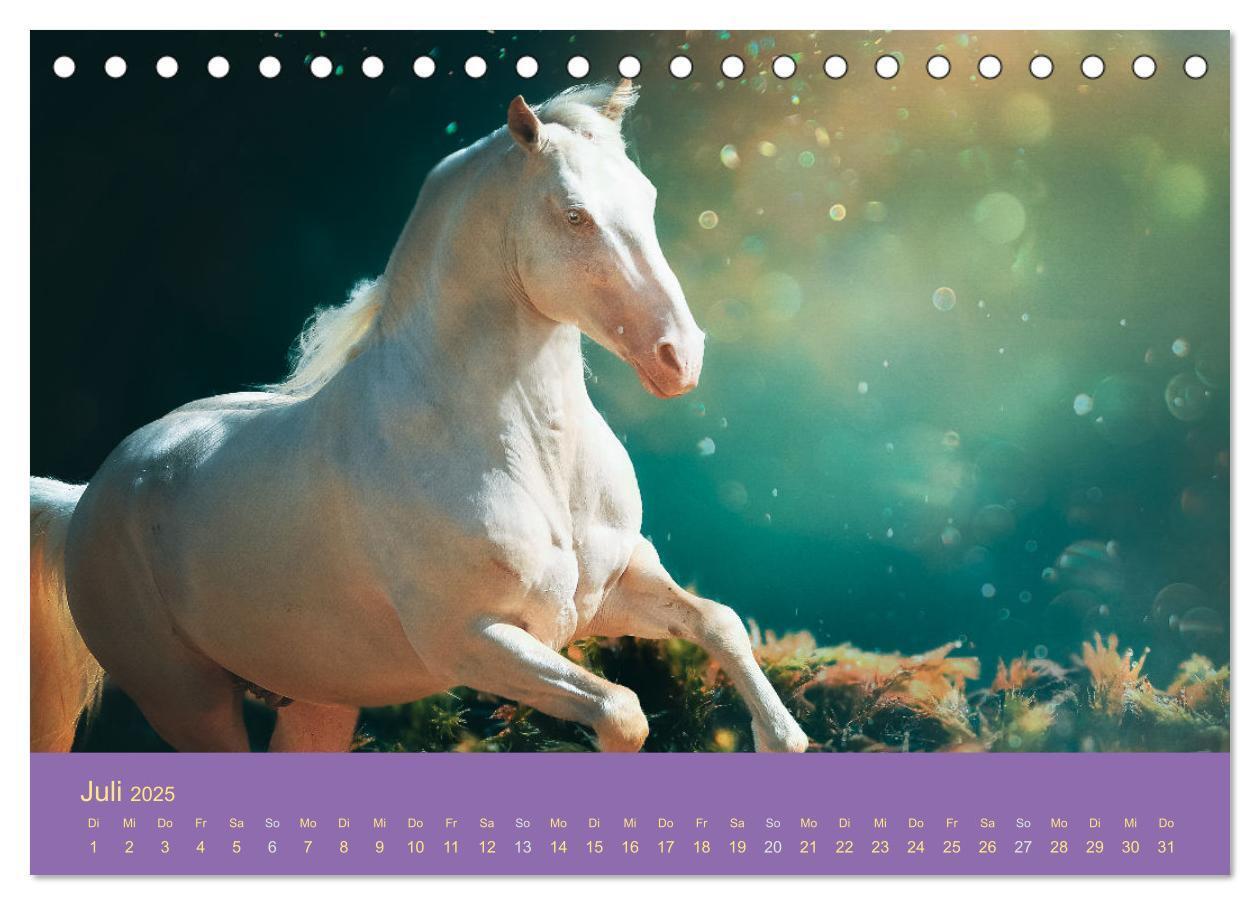 Bild: 9783435061044 | Von der Magie der Pferde (Tischkalender 2025 DIN A5 quer), CALVENDO...