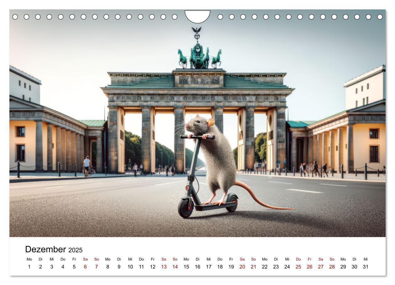 Bild: 9783383787539 | Ratten auf Reisen (Wandkalender 2025 DIN A4 quer), CALVENDO...