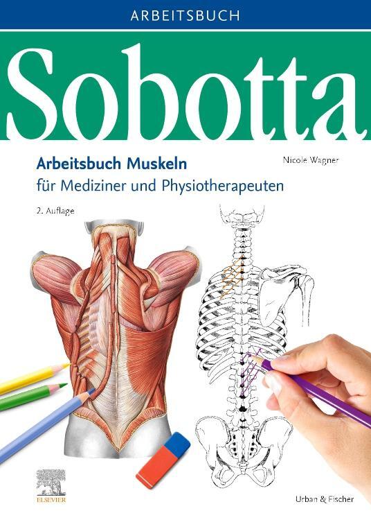 Cover: 9783437441028 | Sobotta Arbeitsbuch Muskeln | Nicole Wagner | Taschenbuch | Sobotta