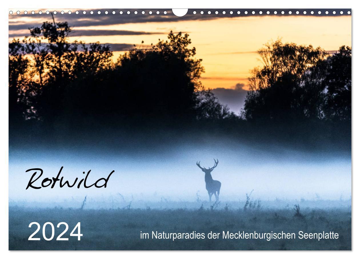 Cover: 9783383041310 | Rotwild - im Naturparadies der Mecklenburgischen Seenplatte...
