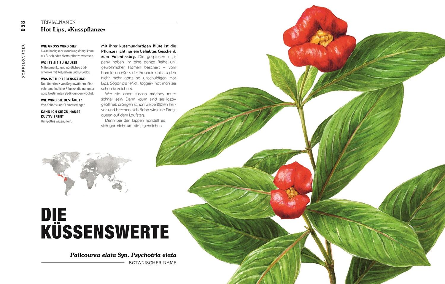 Bild: 9783831047406 | Kuriose Pflanzen | Michael Perry | Buch | 192 S. | Deutsch | 2023