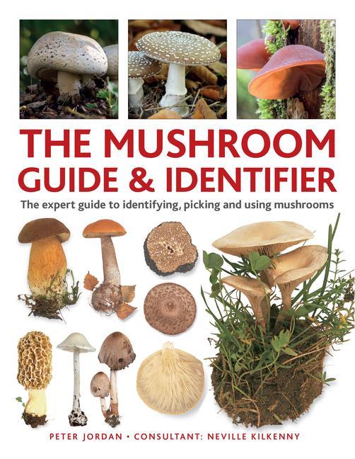 Cover: 9780754835332 | The Mushroom Guide &amp; Identifer | Peter Jordan (u. a.) | Buch | 2024