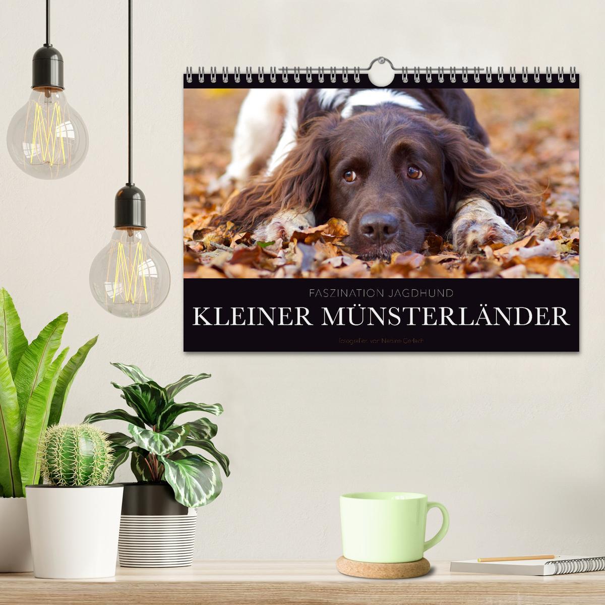 Bild: 9783435416066 | Faszination Jagdhund - Kleiner Münsterländer (Wandkalender 2025 DIN...