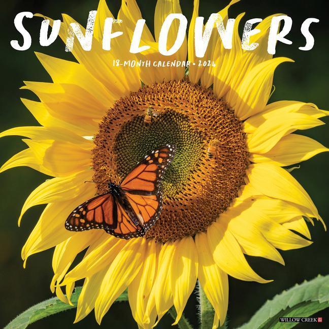 Cover: 9781549235528 | Sunflowers 2024 12 X 12 Wall Calendar | Willow Creek Press | Kalender