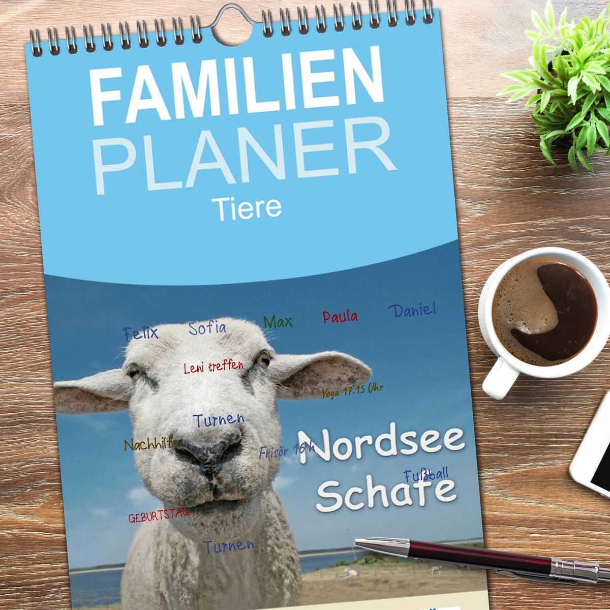 Bild: 9783457120606 | Familienplaner 2025 - Nordsee Schafe mit 5 Spalten (Wandkalender,...