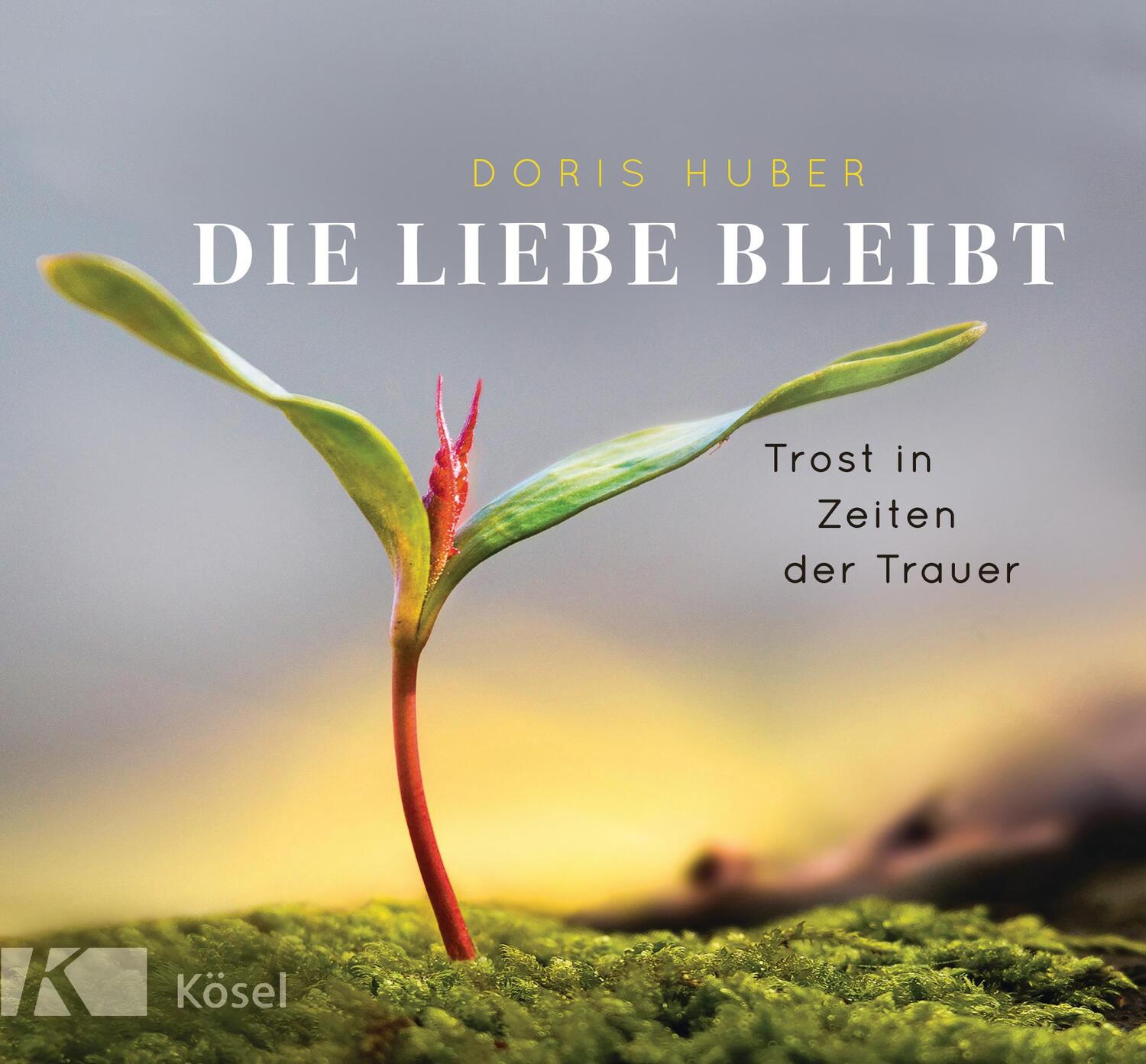 Cover: 9783466372423 | Die Liebe bleibt | Trost in Zeiten der Trauer | Doris Huber | Buch