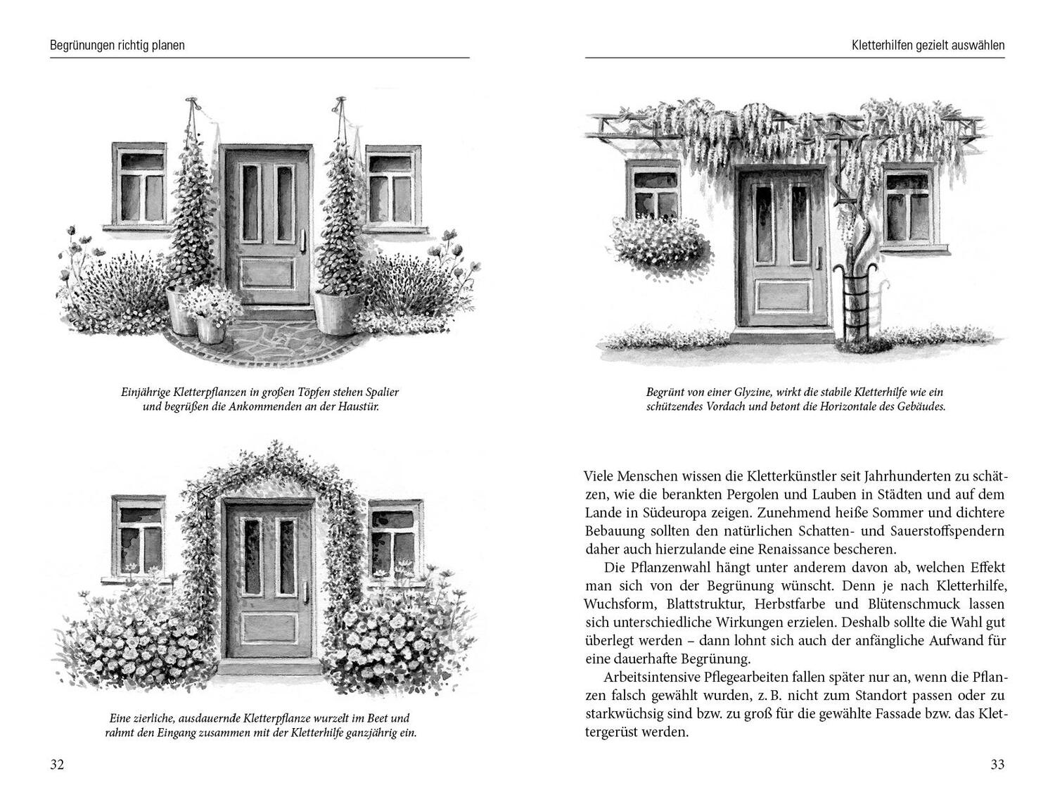 Bild: 9783895663390 | Grüne Wände für Haus und Garten | Brigitte Kleinod | Buch | 180 S.