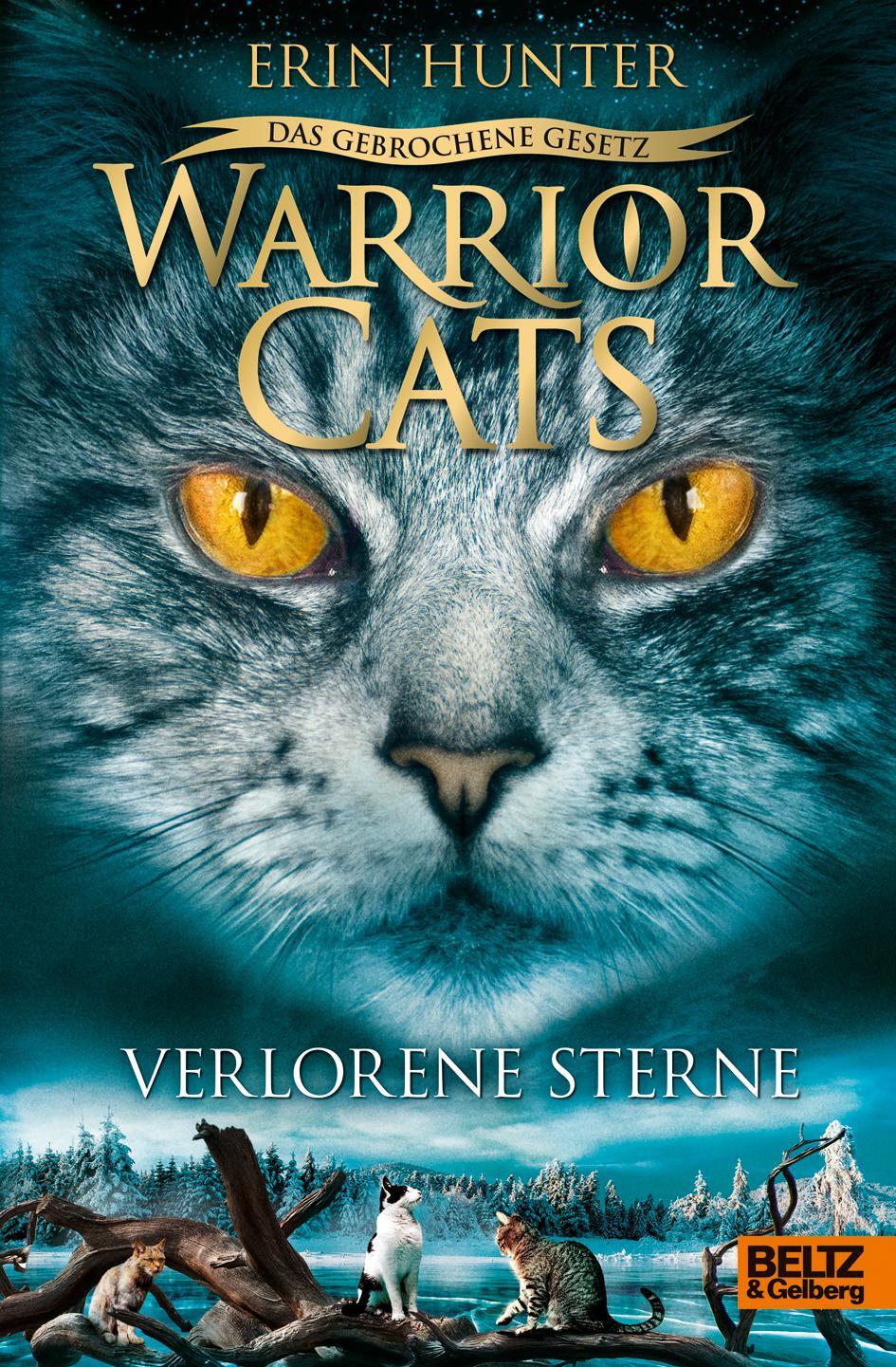 Cover: 9783407755599 | Warrior Cats Staffel 7/01 - Das gebrochene Gesetz - Verlorene Sterne