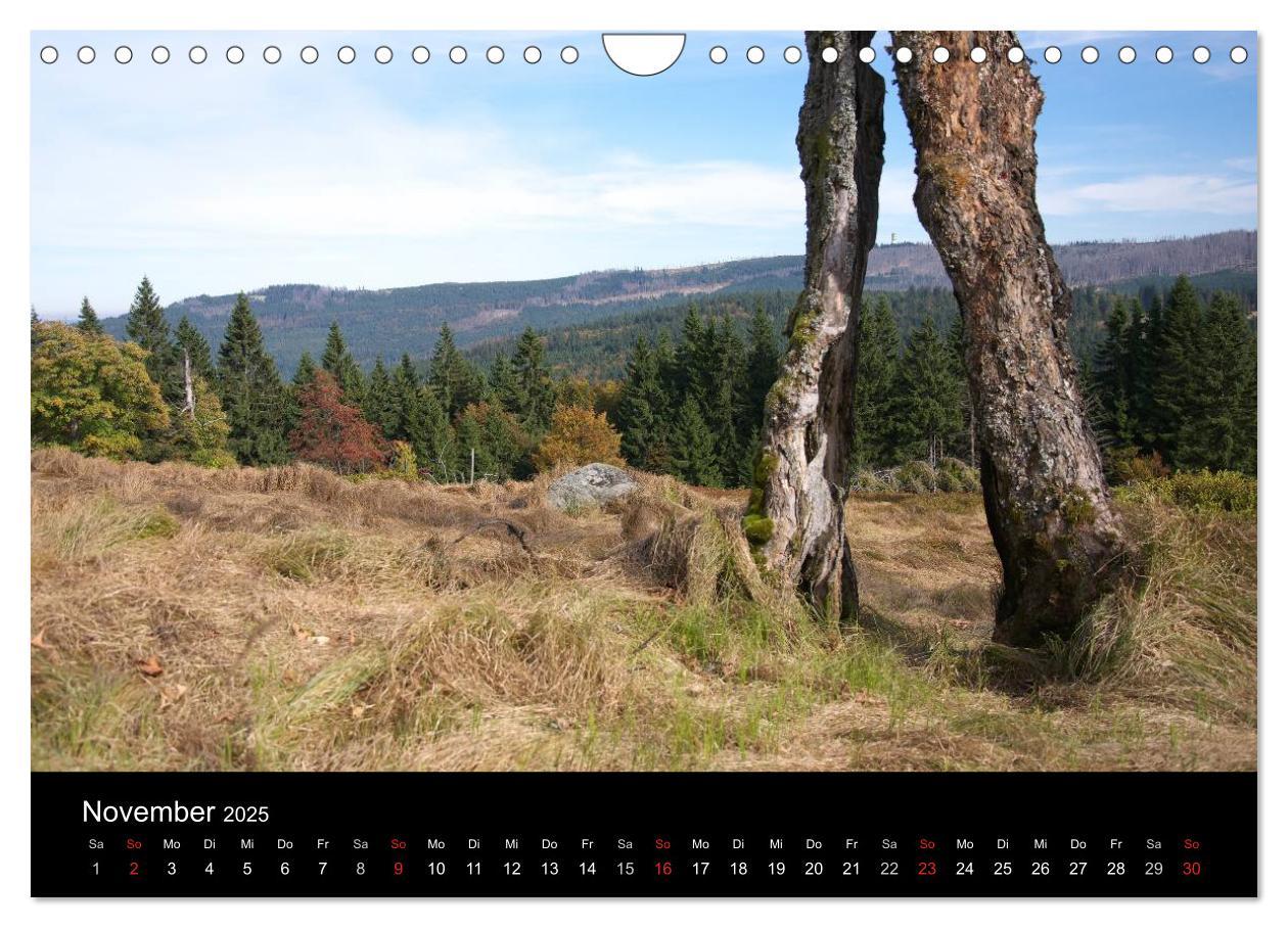 Bild: 9783435685011 | Bayerischer Wald - der Osten Bayerns (Wandkalender 2025 DIN A4...