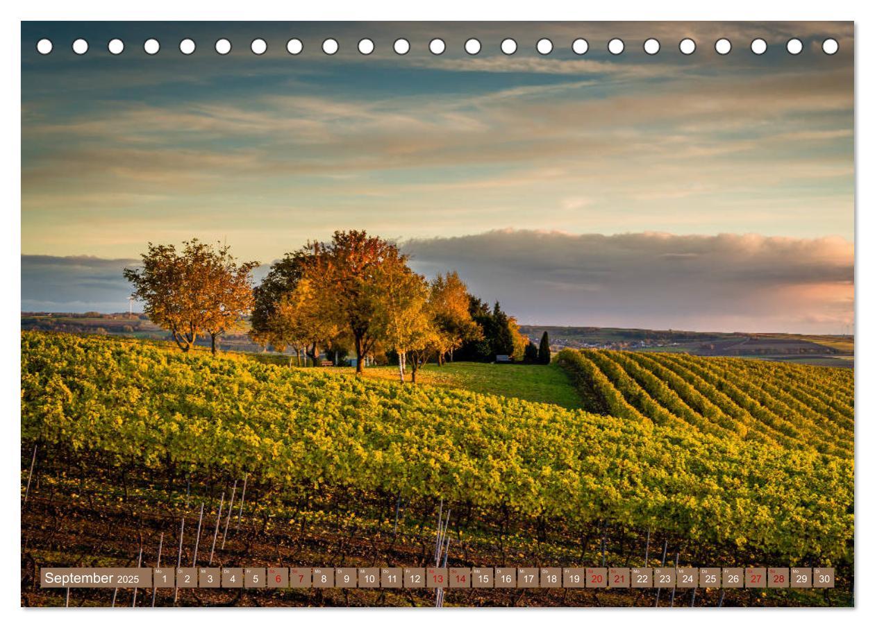 Bild: 9783435388066 | Rheinhessen-Impressionen (Tischkalender 2025 DIN A5 quer), CALVENDO...