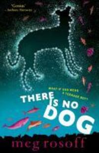 Cover: 9780141327174 | There Is No Dog | Meg Rosoff | Taschenbuch | Englisch | 2012