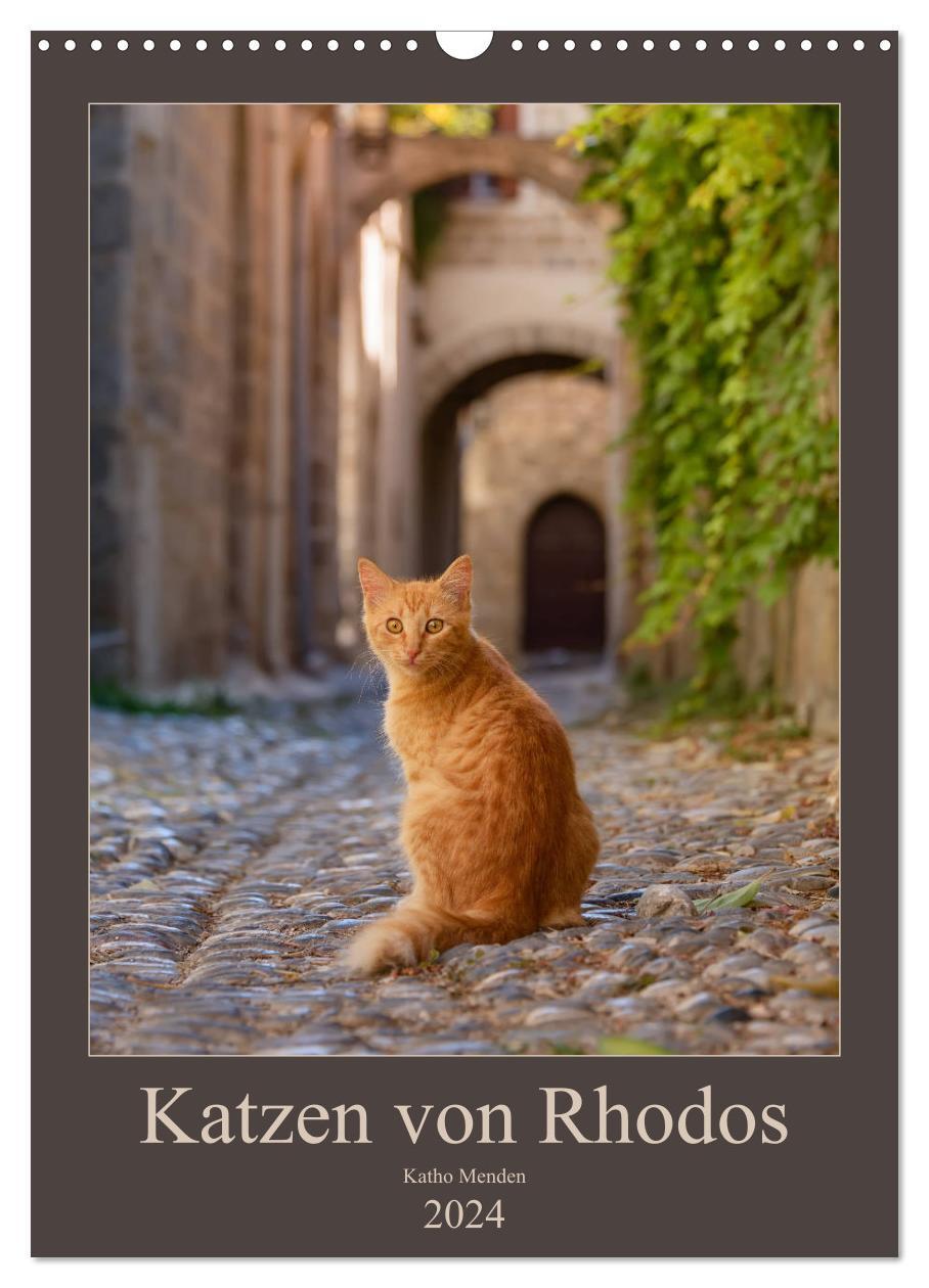 Cover: 9783675572140 | Katzen von Rhodos (Wandkalender 2024 DIN A3 hoch), CALVENDO...