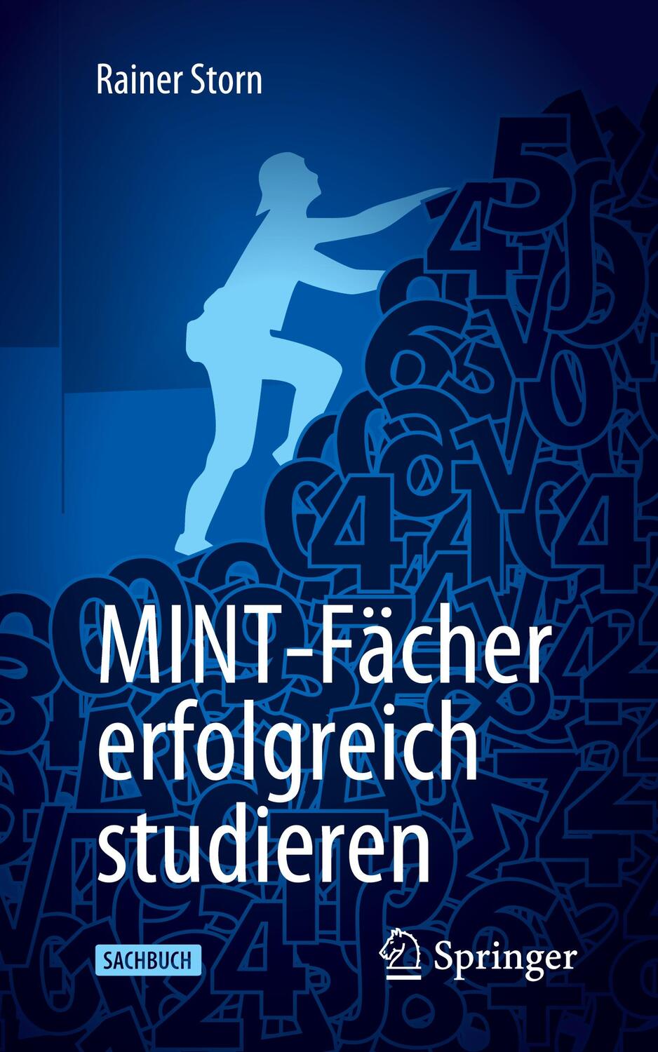 Cover: 9783662614129 | MINT-Fächer erfolgreich studieren | Rainer Storn | Taschenbuch