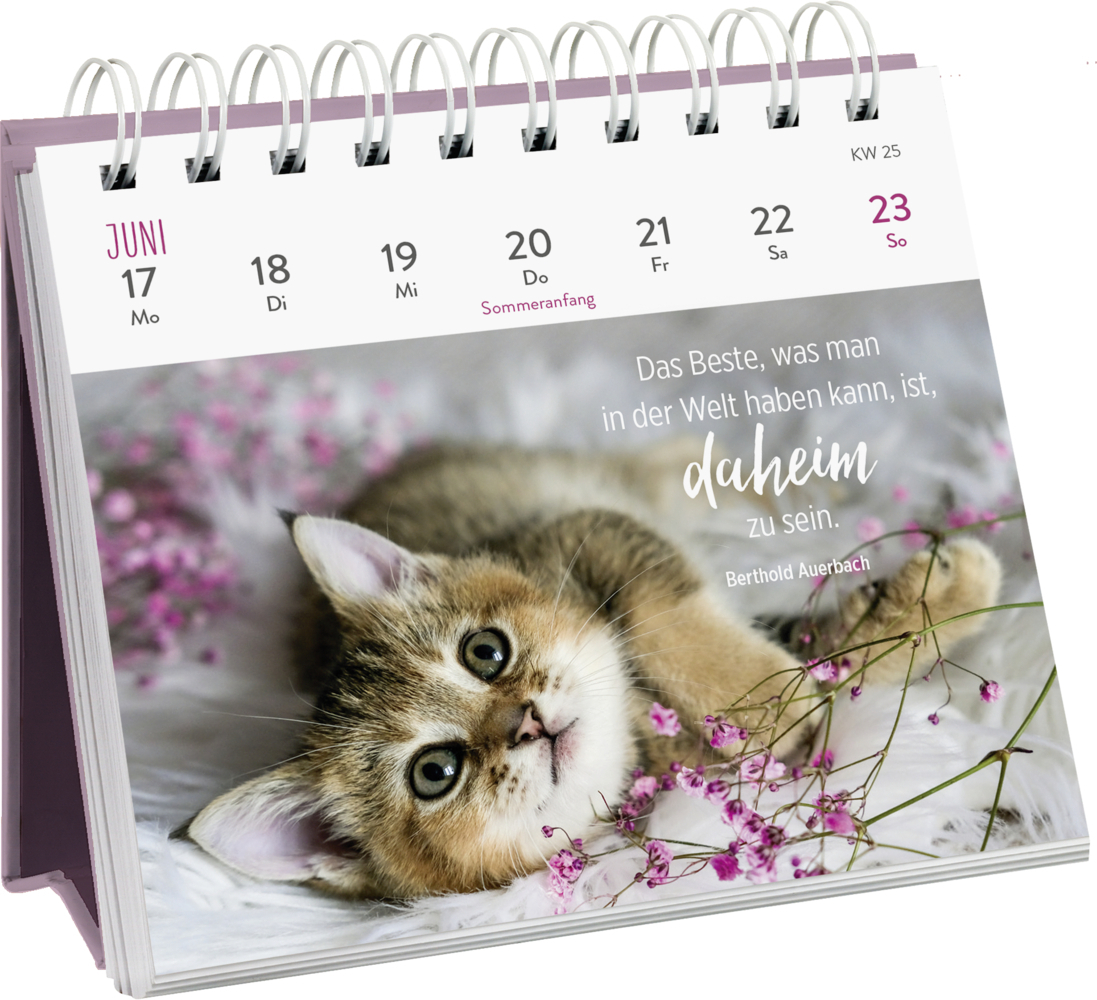 Bild: 4036442010648 | Mini-Wochenkalender 2024: Für Katzenfreunde | Groh Verlag | Kalender