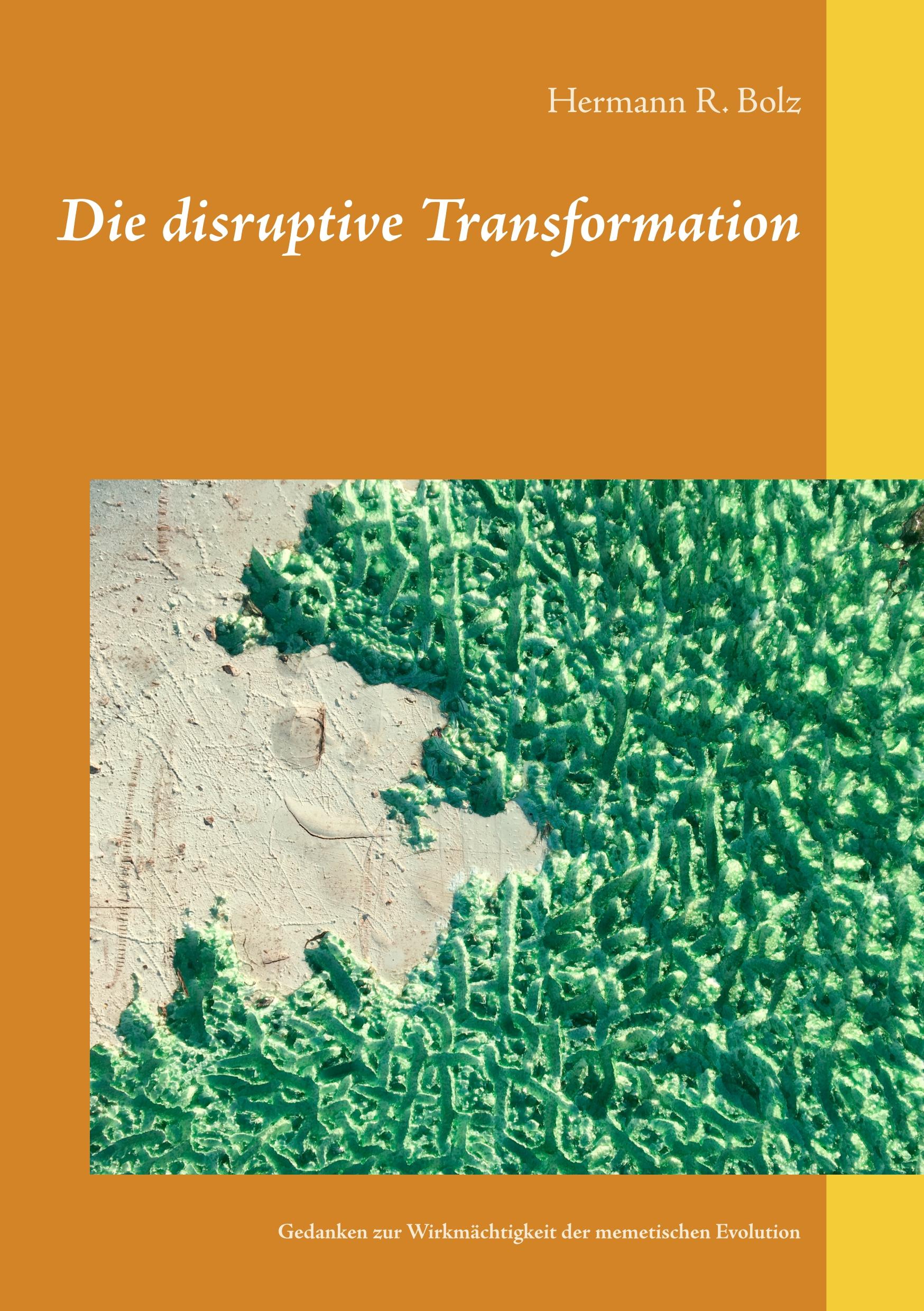 Cover: 9783751901413 | Die disruptive Transformation | Hermann R. Bolz | Taschenbuch | 120 S.