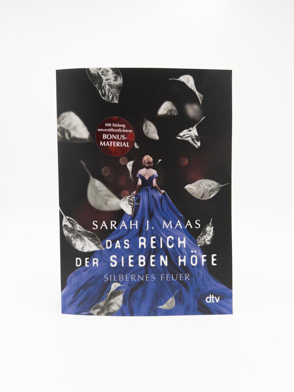 Bild: 9783423719223 | Das Reich der sieben Höfe - Silbernes Feuer | Sarah J. Maas | Buch