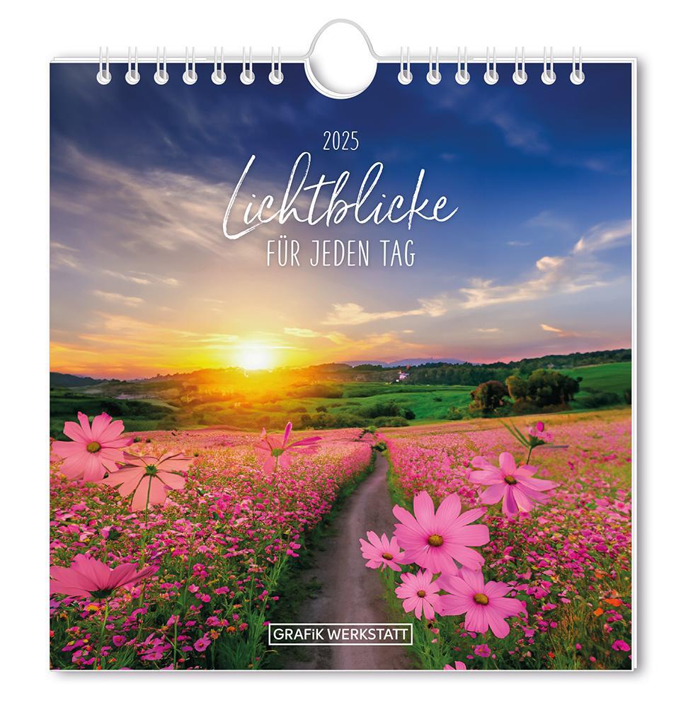 Cover: 9783986361204 | Postkartenkalender 2025 Lichtblicke | Postkartenkalender | Original