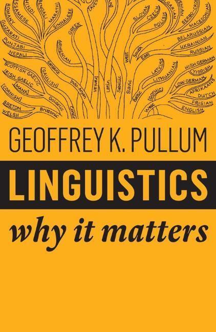 Cover: 9781509530762 | Linguistics | Why It Matters | Geoffrey K Pullum | Taschenbuch | 2018