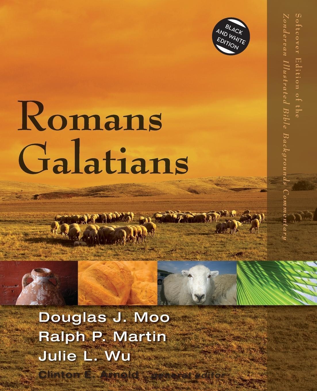 Cover: 9780310522959 | Romans, Galatians | Douglas J. Moo (u. a.) | Taschenbuch | Paperback