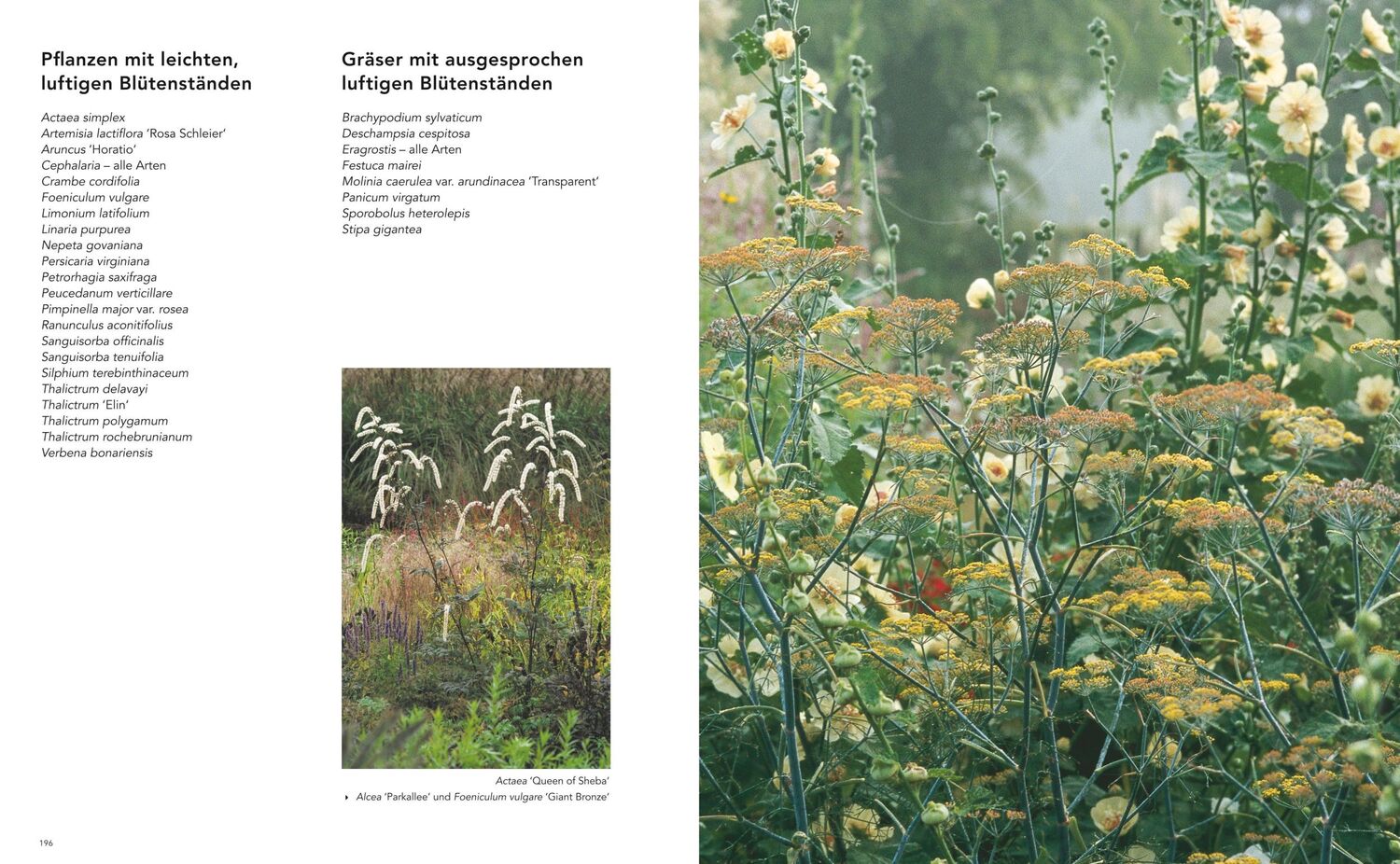 Bild: 9783967470307 | Gärten inspiriert von der Natur | Piet Oudolf | Buch | 288 S. | 2021