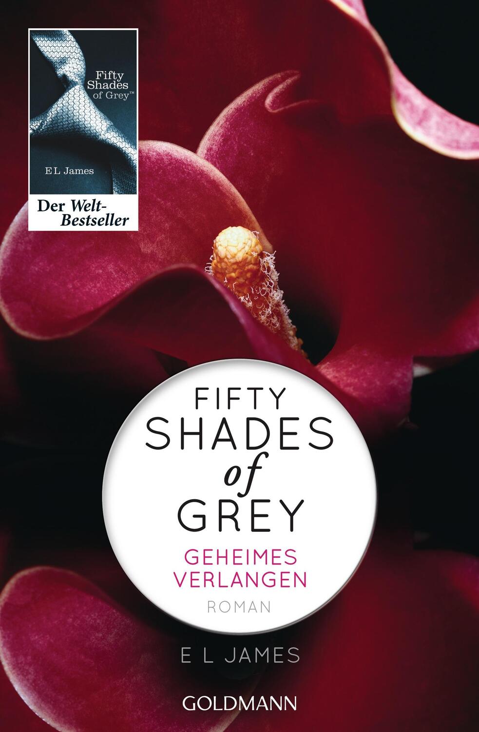 Cover: 9783442478958 | Fifty Shades of Grey - Geheimes Verlangen | Band 1 - Roman | E L James