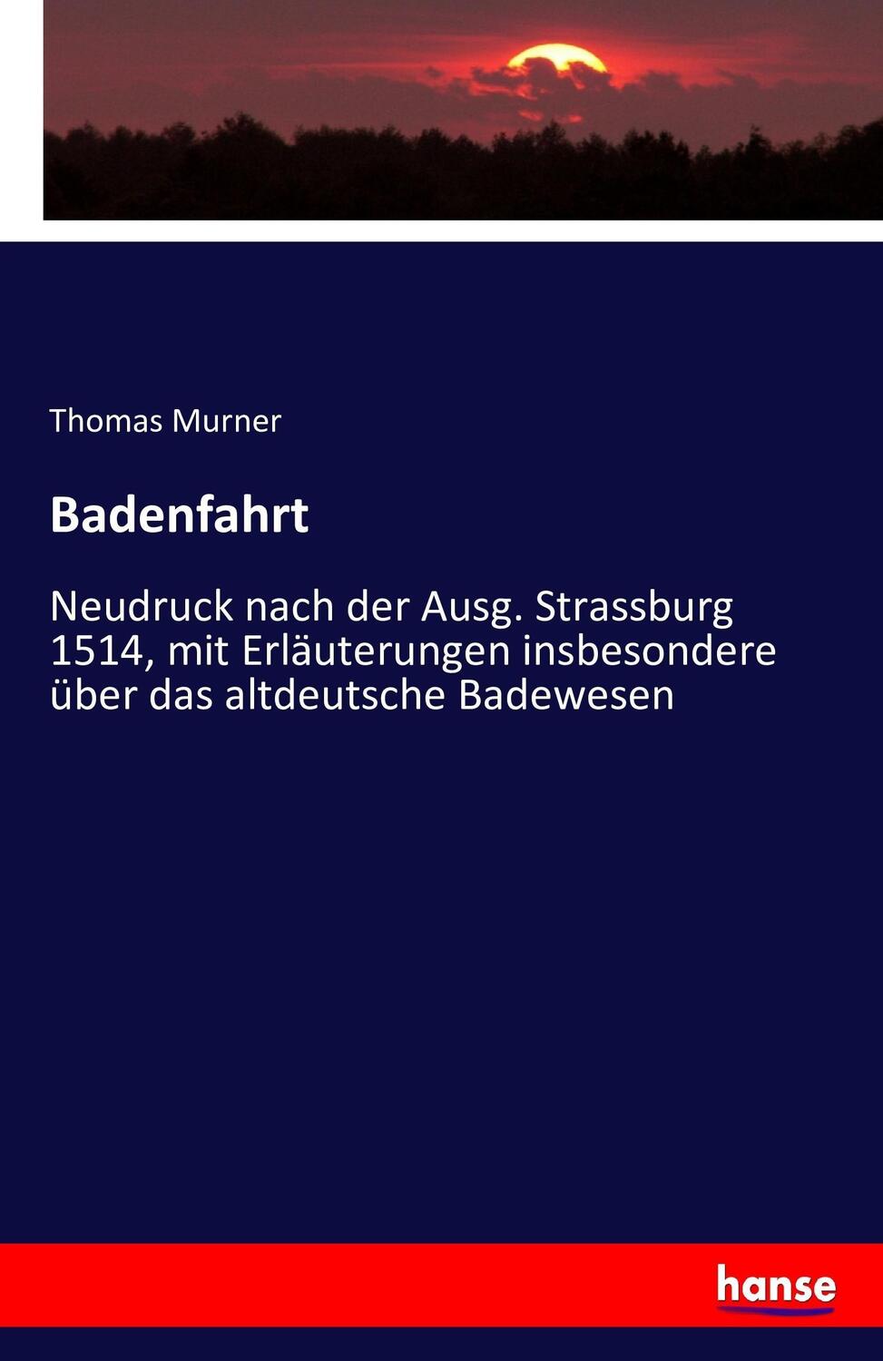 Cover: 9783743415836 | Badenfahrt | Thomas Murner | Taschenbuch | Paperback | 76 S. | Deutsch