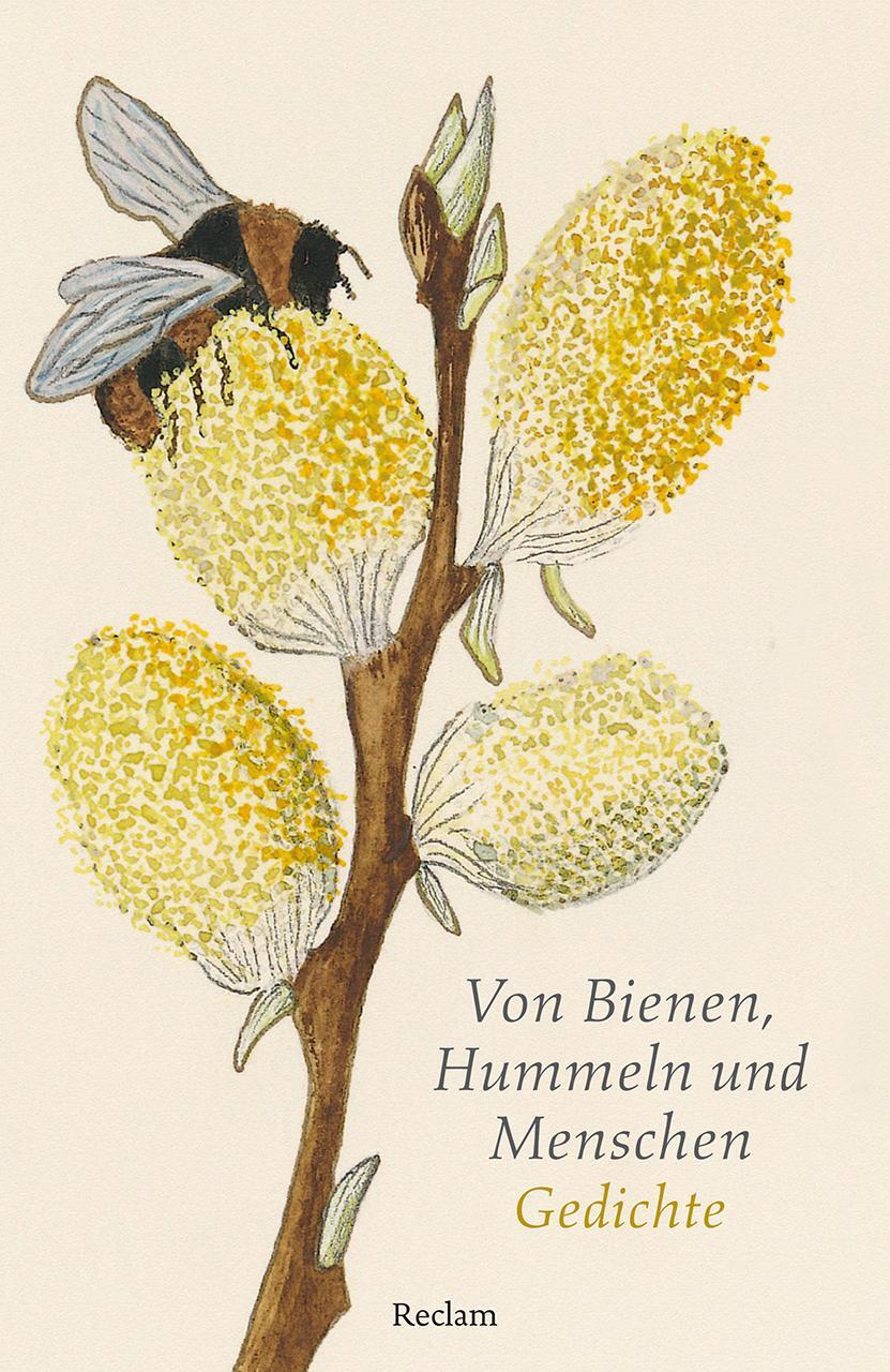 Cover: 9783150143605 | Von Bienen, Hummeln und Menschen | Gedichte | Eberhard Scholing | Buch